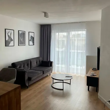 F&J #25 Centropolis Apartment Torun Exterior photo