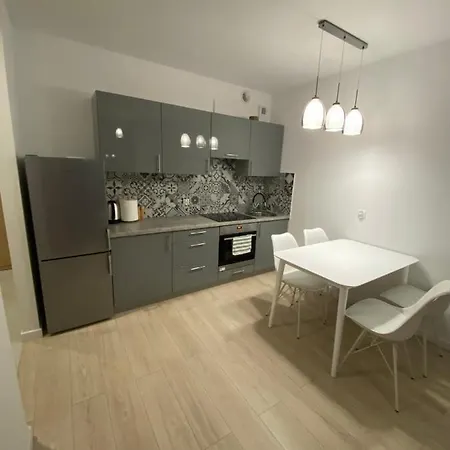 F&J #25 Centropolis Apartment Torun Exterior photo